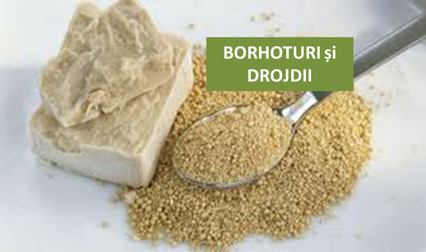 borhoturi-si-drojdii